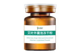 艾叶外囊泡冻干粉