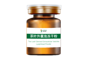 茶叶外囊泡冻干粉